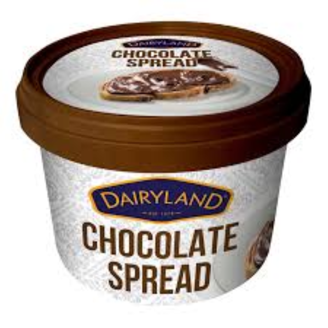DAIRYLAND CHOCOLATE SPREAD 250G